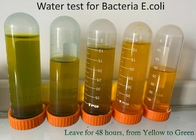 Εξάρτηση δοκιμής 100 βακτηριδίων λουρίδων PLA, λουρίδες δοκιμής της PET Ε COLI